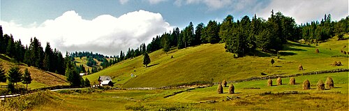 Apuseni: Apuseni Mountains 2016