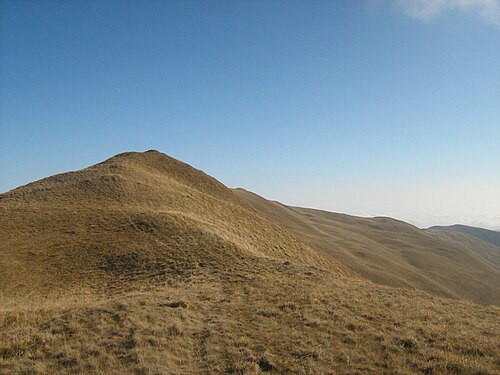 Baiului (Gârbova): Vedere spre Vf. Baiu Mare (1908m) - panoramio