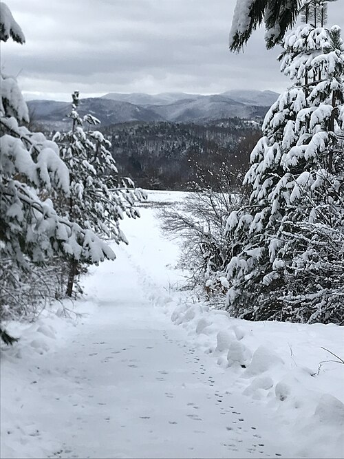 Parcul Natural Bălgarka: Yabulkovtsi winter