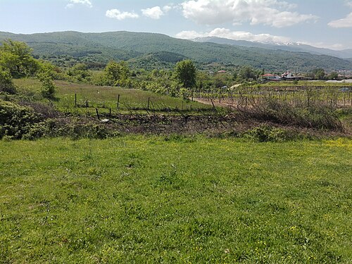 Belasița și Slavianka: Burned blackberries