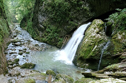 Bihor & Padiș: Cheile Galbenei