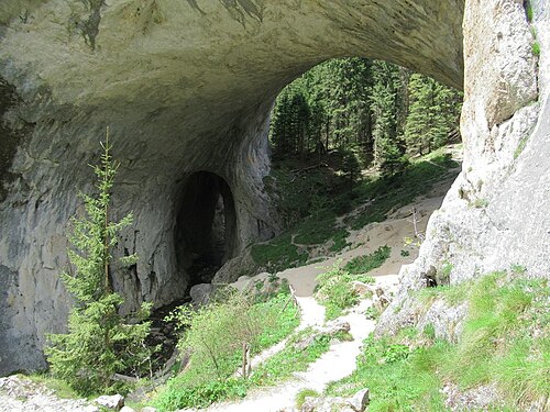 Podurile Minunate (Ciudnite Mostove): Wonderful Bridges (48894583587)