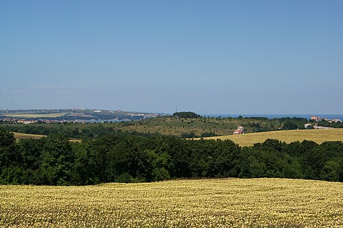 Emona și plaja Irakli: Sunflower field (AP4H6979 1PP) (15481946853)