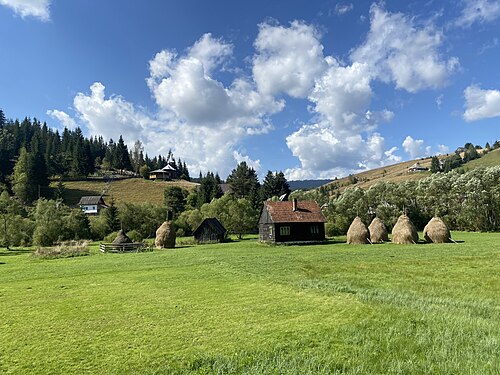 Gilău & Muntele Mare: RUMÄNIEN - Poiana Horea (Beliș) - Landschaft im Apuseni-Gebirge (Munții Apuseni) FOX-IMG 3680