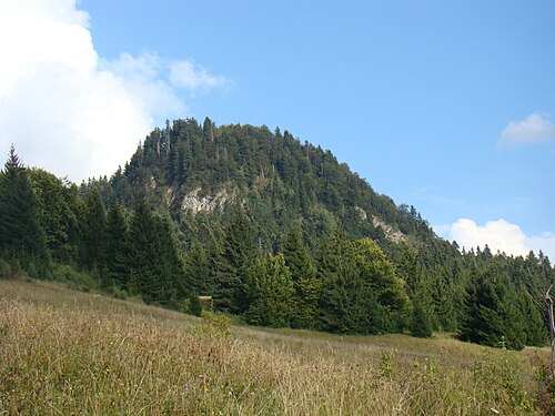 Metaliferi: Detunata Flocoasa