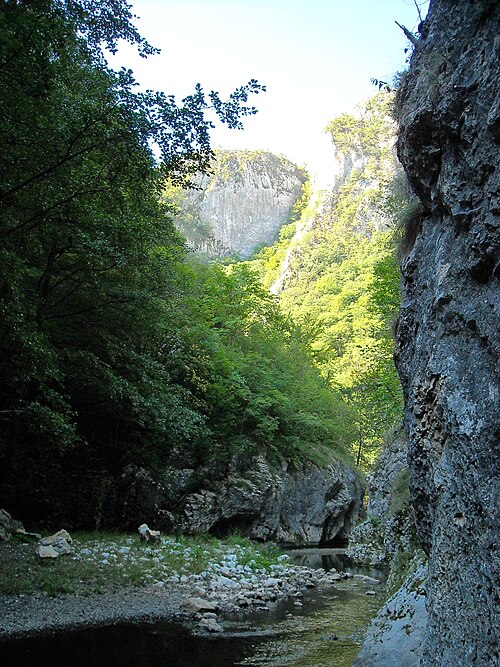 Metaliferi: Cheile mazii