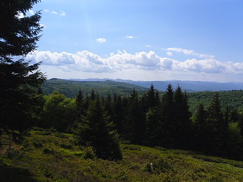 Nemira: Munții Nemira - Vârful Ceangău (1398 m)