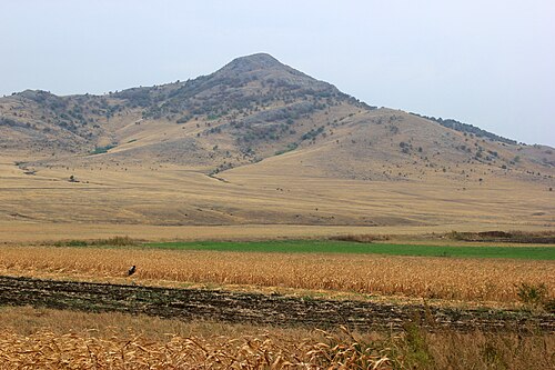 Dealurile Niculițelului: Horia Landschaft 2
