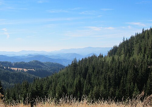 Pamporovo, Rojen și Smolian: The View - panoramio (5)