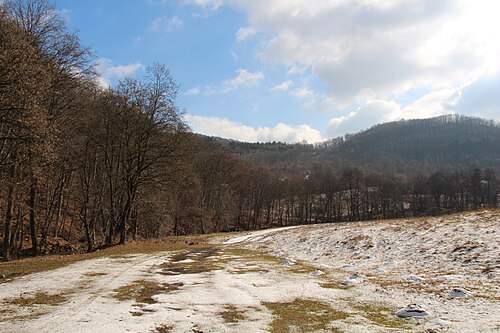 Perșani: Cheile Vârghișului - Varghis Gorges - panoramio