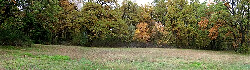 Mezek și Sakar (Rodopii de Est): Park Kenana Haskovo