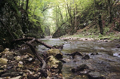 Semenic, Aninei & Nerei-Beușnița: Caras river