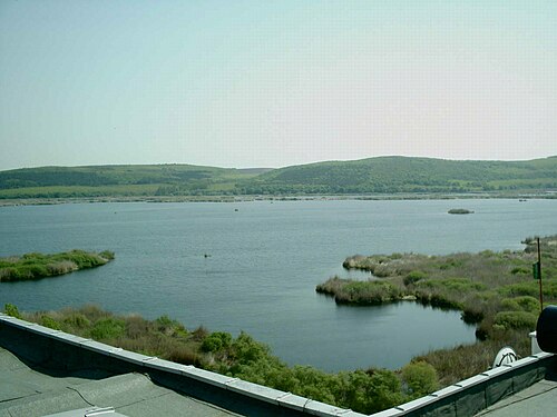 Silistra și canionul Suha Reka: Pelican area Silistra4