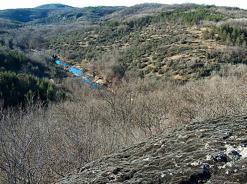 Parcul Natural Strandja: Strandzha Мountain - panoramio