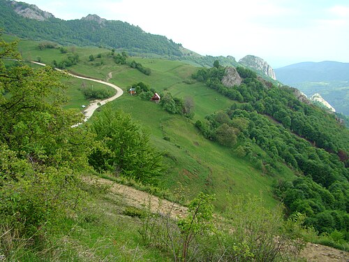 Trascău: Munții Trascăului2009 (1)