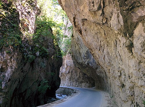 Trigrad, Yagodina și Devin: Smolyan Province - Borino Municipality - Village of Yagodina - Buynovsko Gorge (3)
