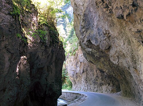 Trigrad, Yagodina și Devin: Smolyan Province - Borino Municipality - Village of Yagodina - Buynovsko Gorge (4)