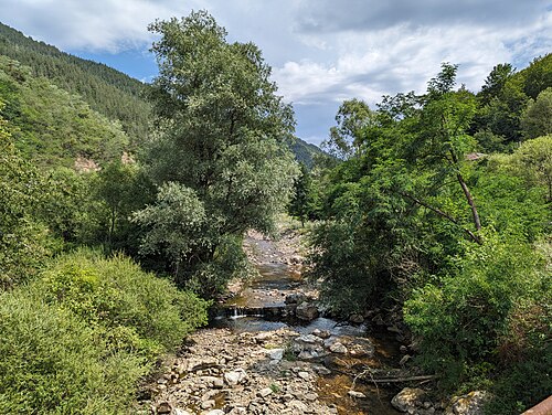 Trigrad, Yagodina și Devin: Shirokolashka River near Bedenski Bani (1)