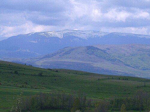 Vlădeasa: Vlegyásza 5