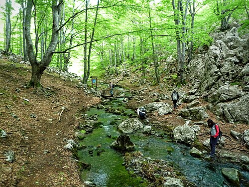Vrachanski Balkan (Vrața): Vratza, Bulgaria - panoramio (73)