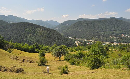 Vrancei: RO VN Tulnici 2