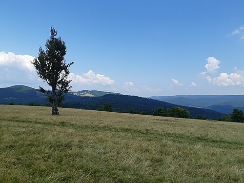 Vrancei: Musat Pass Romania 03