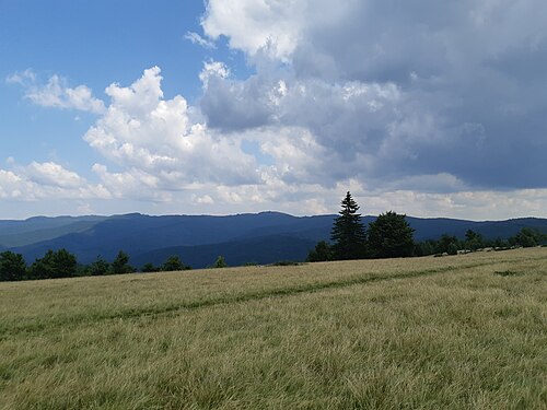 Vrancei: Musat Pass Romania 02