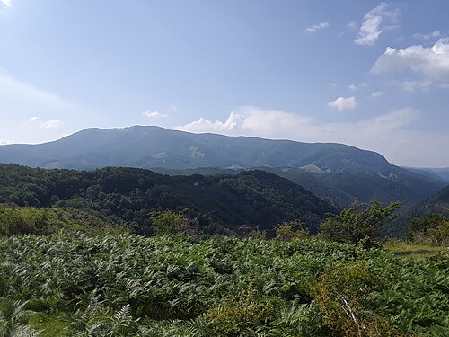 Vâlcan: Plesa Valcan Mts