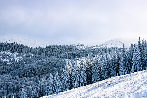 Vâlcan: Straja, Lupeni, Romania (Unsplash)