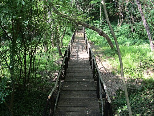 Zlatni Piasați (Nisipurile de Aur): Varna Botanical Garden 01