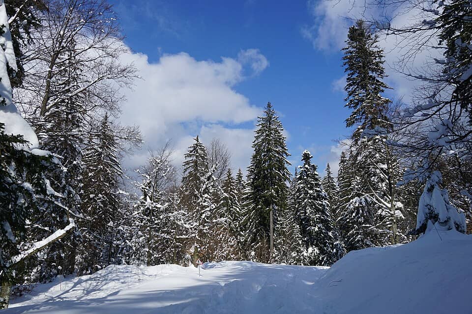 Postăvaru & Piatra Mare: Winter (51006197705)