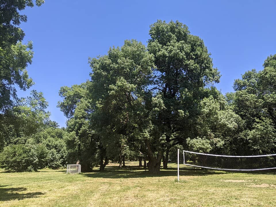 Ropotamo și Beglik Tash: Fraxinus in Burgas Q106523330 1