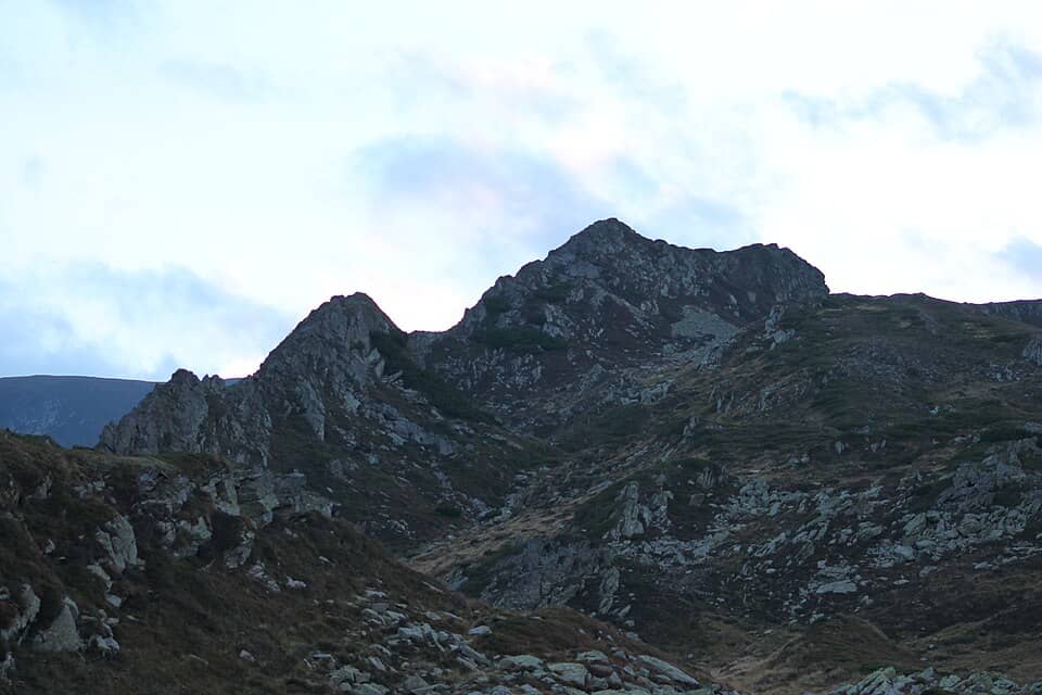 Făgăraș: Fagaraš, 2014 (039)