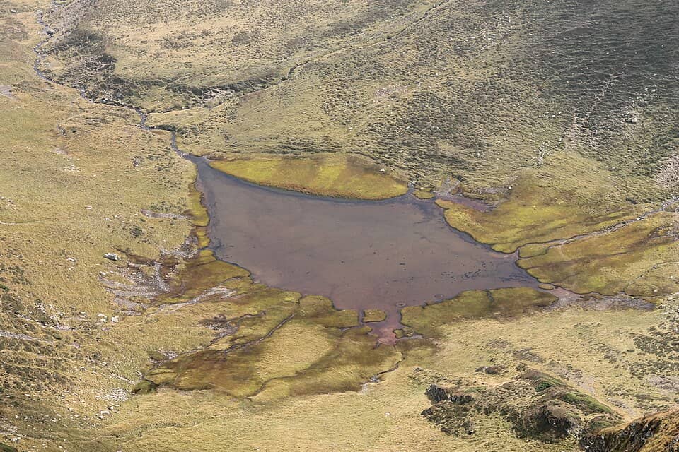 Piatra Craiului: Fagaraš, 2014 (041)