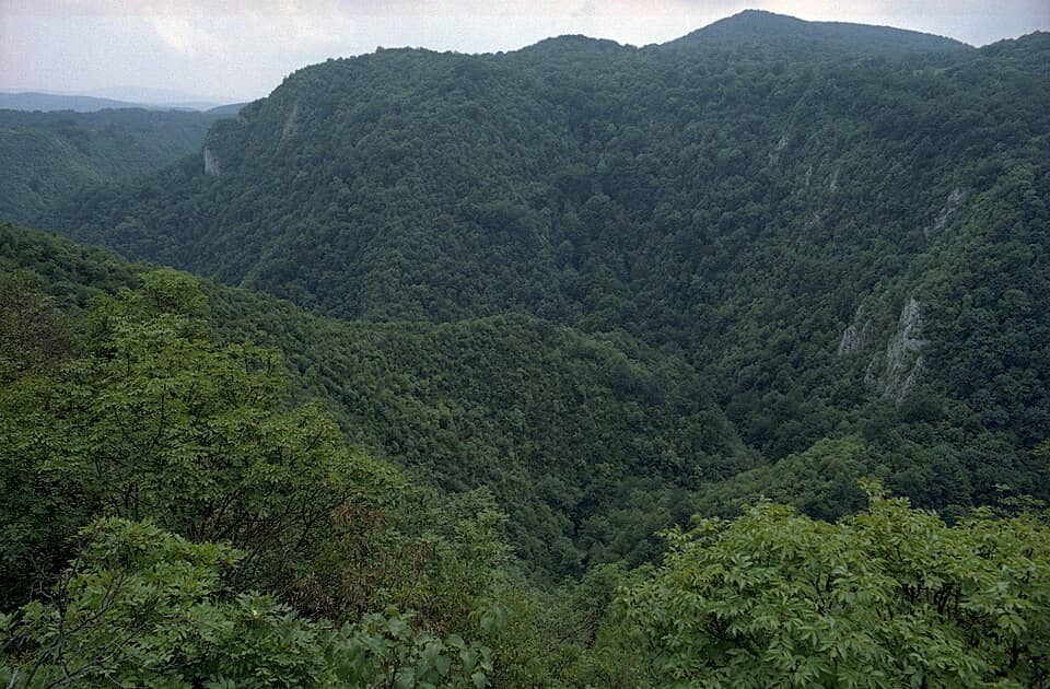 Semenic, Aninei & Nerei-Beușnița: Caras valley
