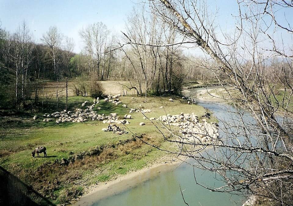 Cernei & Mehedinți (Domogled): Baile Herculane .- Parc National vallée de la Cerna-Domogled (2)