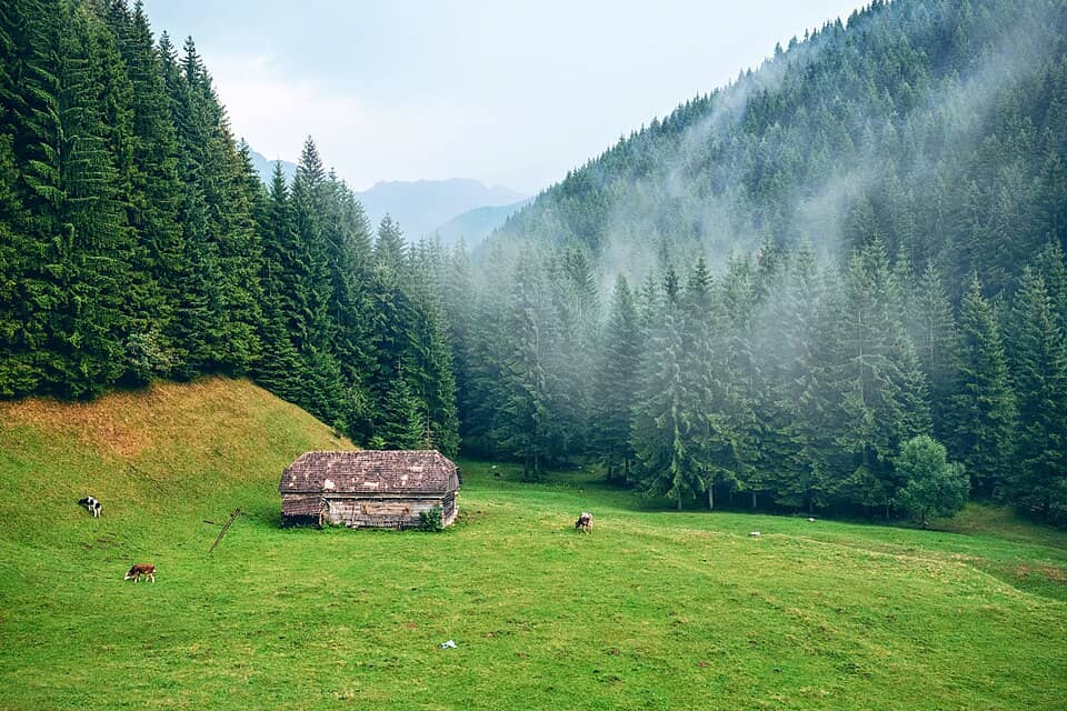 Bucegi: Moieciu de Sus, Romania (Unsplash)