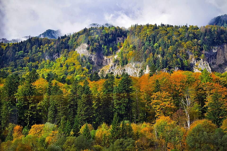 Baiului (Gârbova): Bucegi Mountains, Sinaia (54943833171)
