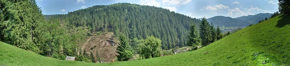 Călimani: Lunca Bradului (HDR) - panoramio - paulnasca (4)