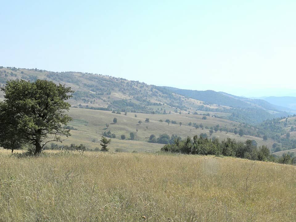 Porțile de Fier & Clisura Dunării: Banat, St.Helena-Gärnik - panoramio (11)