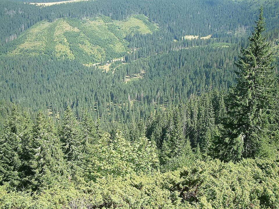 Apuseni: Völgy - panoramio (2)