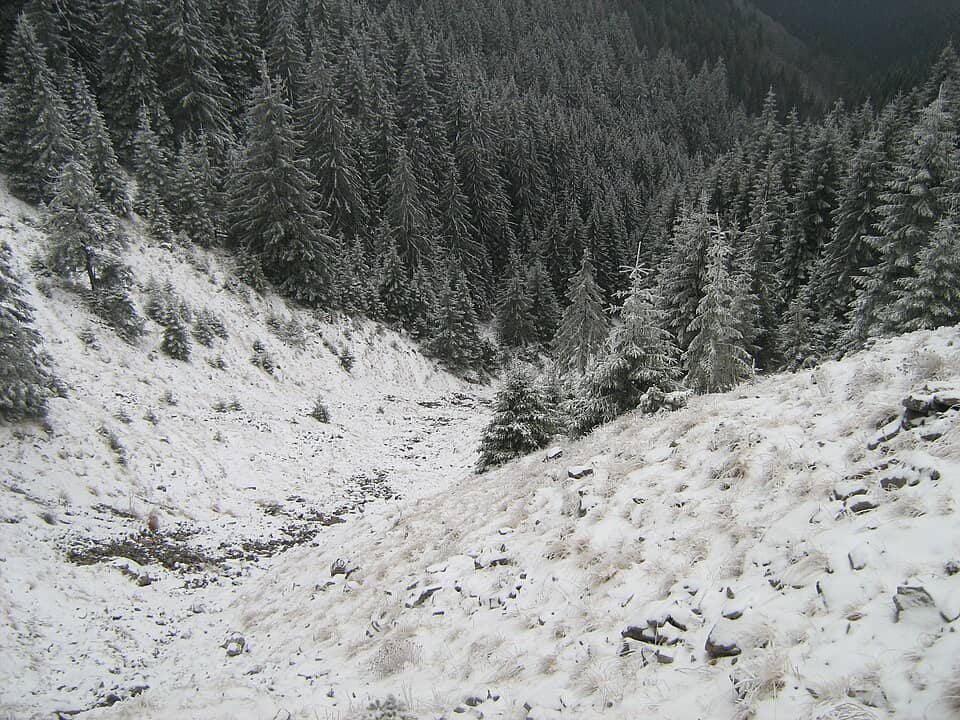 Baiului (Gârbova): Izvorul pârâului Ştevia - panoramio