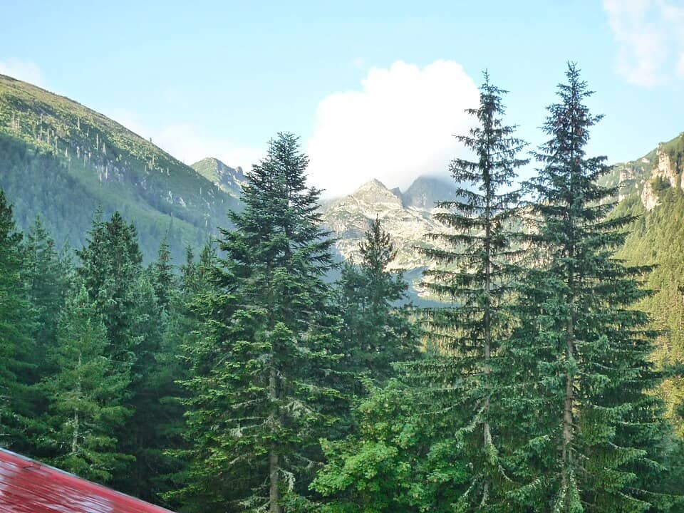 Rila: Cele Șapte Lacuri și Musala: Samokov, Bulgaria - panoramio (125)