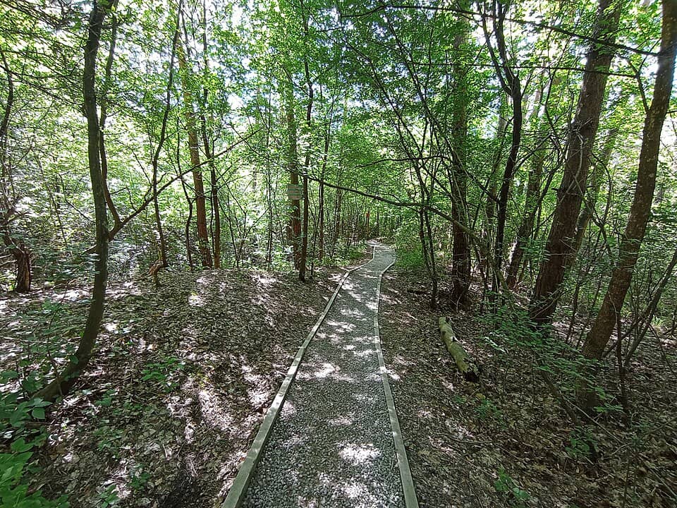 Gurghiu: Salt Mountain Praid, Entrance Walkway