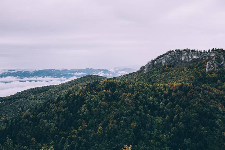 Apuseni: Wooded hill in autumn (Unsplash)