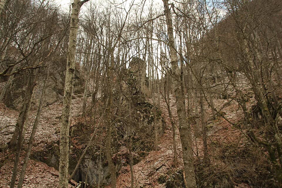 Harghita & Ciomatu (Sf. Ana): Cheile Vârghișului - Varghis Gorges - panoramio (27)