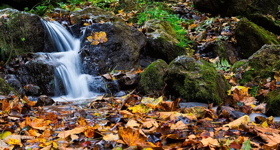 Postăvaru & Piatra Mare: Waterfall (179023651)