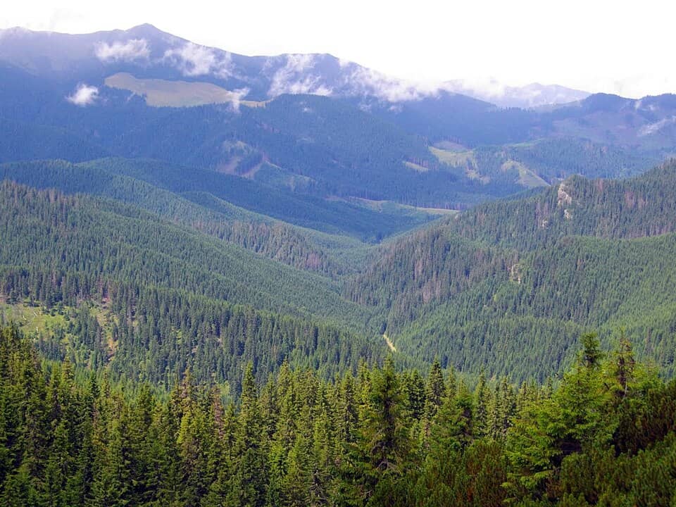 Călimani: Dolina górnej Dorny spod Coada Pietrosului. http-perister-wyrypy.blogspot.com - panoramio