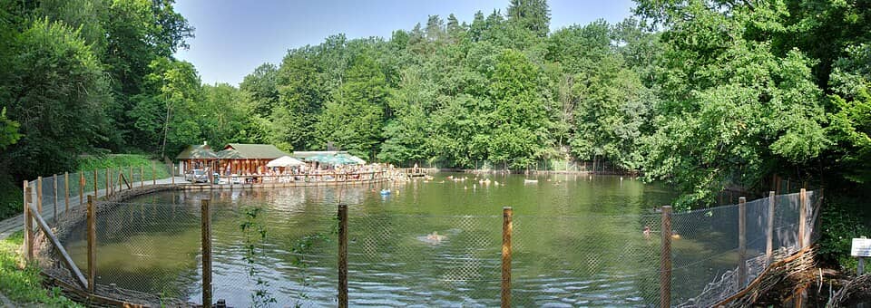 Gurghiu: Lake - panoramio (24)