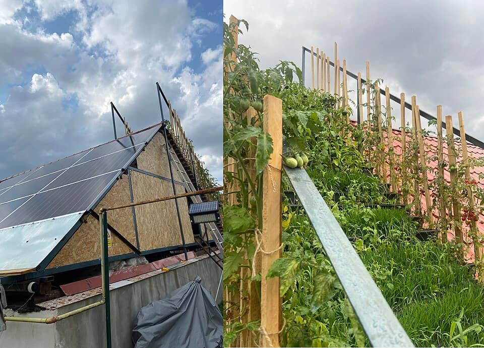 Șureanu (Sebeșului): Cugir-multi-function-roof